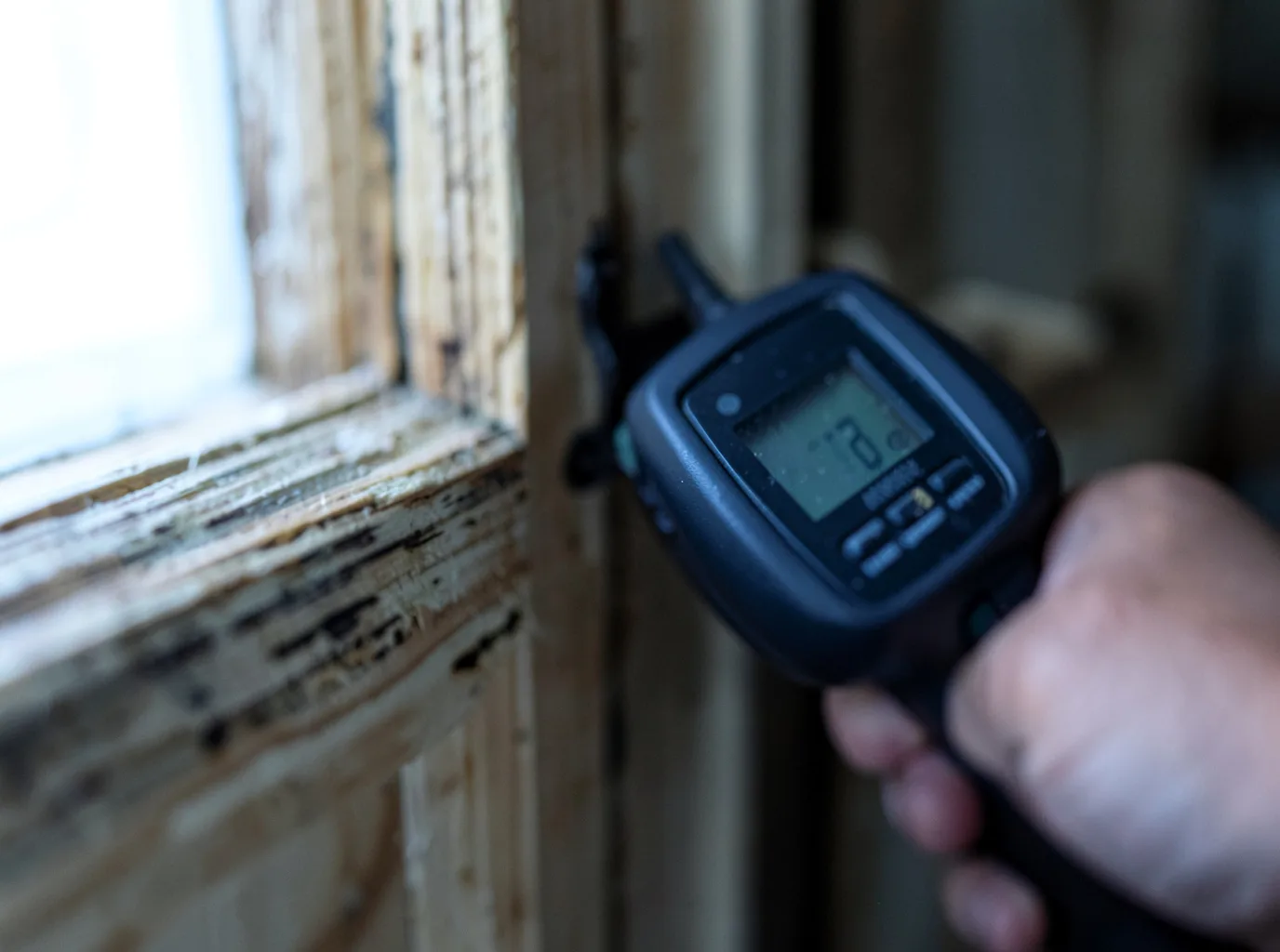 Commercial Water Damage Restoration in Boss, MO